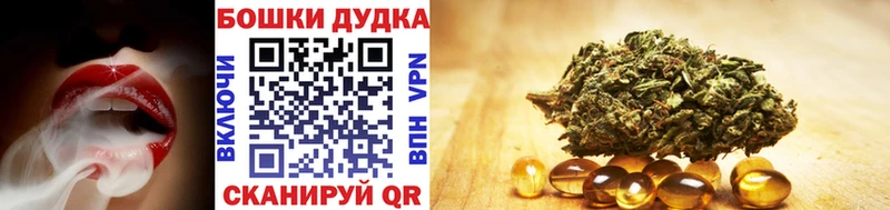 Купить наркотики цена Чернушка kraken вход  A PVP  Меф мяу мяу  Бошки Шишки  ГАШИШ  Псилоцибиновые грибы  НБОМе 