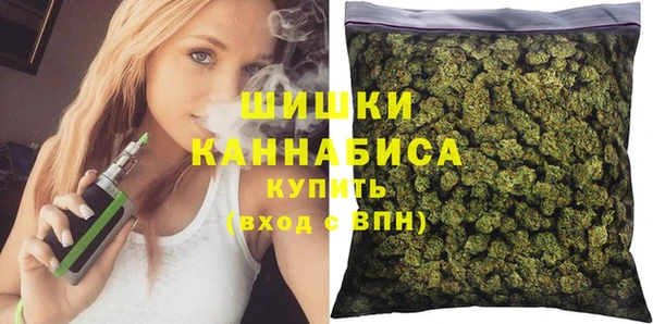 индика Рославль